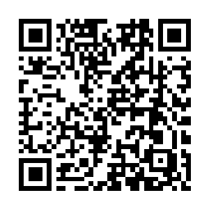 Link naar je actie QRCode - Fondswerving