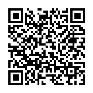 Link naar je actie QRCode - Fondswerving