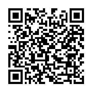 Link naar je actie QRCode - Fondswerving