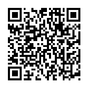 Link naar je actie QRCode - Fondswerving