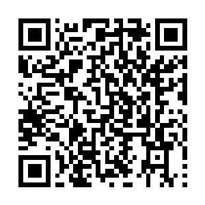 Link naar je actie QRCode - Fondswerving