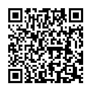 Link naar je actie QRCode - Fondswerving