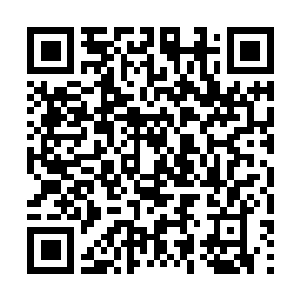 Link naar je actie QRCode - Fondswerving