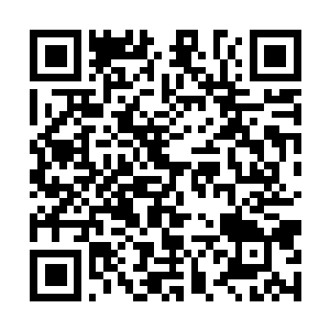 Link naar je actie QRCode - Fondswerving