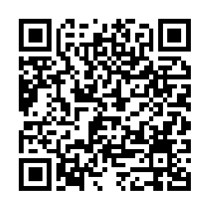 Link naar je actie QRCode - Fondswerving