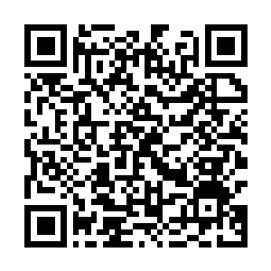 Link naar je actie QRCode - Fondswerving