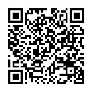 Link naar je actie QRCode - Fondswerving
