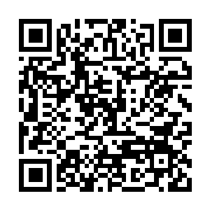 Link naar je actie QRCode - Fondswerving