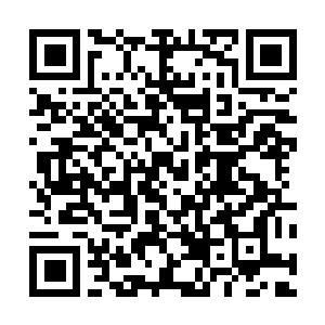 Link naar je actie QRCode - Fondswerving