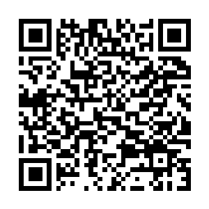 Link naar je actie QRCode - Fondswerving
