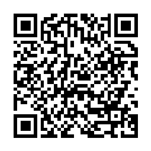 Link naar je actie QRCode - Fondswerving