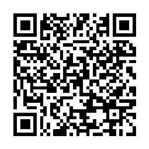 Link naar je actie QRCode - Fondswerving