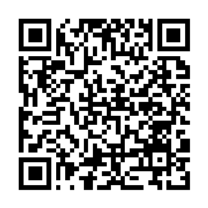 Link naar je actie QRCode - Fondswerving