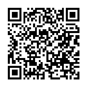 Link naar je actie QRCode - Fondswerving
