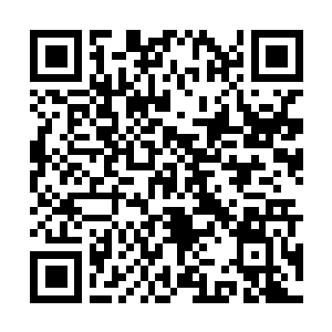 Link naar je actie QRCode - Fondswerving