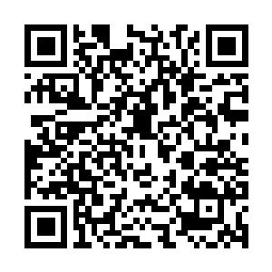 Link naar je actie QRCode - Fondswerving