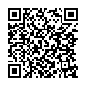 Link naar je actie QRCode - Fondswerving