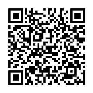 Lien vers votre campagne QRCode - Collecte de fonds