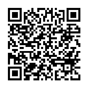 Lien vers votre campagne QRCode - Collecte de fonds