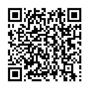 Lien vers votre campagne QRCode - Collecte de fonds