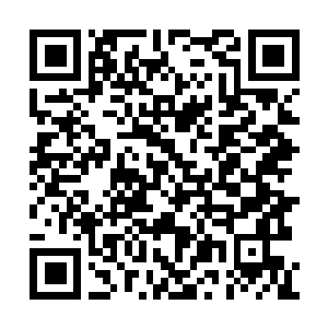 Lien vers votre campagne QRCode - Collecte de fonds