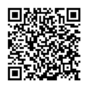 Lien vers votre campagne QRCode - Collecte de fonds