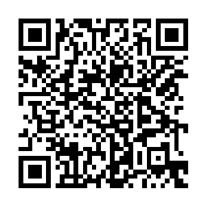 Lien vers votre campagne QRCode - Collecte de fonds