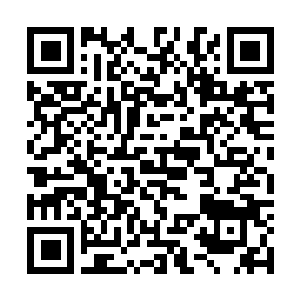 Lien vers votre campagne QRCode - Collecte de fonds