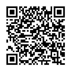 Lien vers votre campagne QRCode - Collecte de fonds