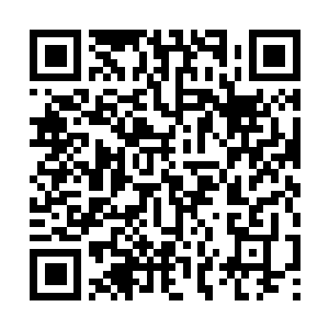 Lien vers votre campagne QRCode - Collecte de fonds