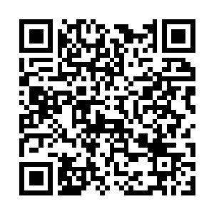 Lien vers votre campagne QRCode - Collecte de fonds