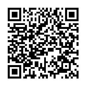 Lien vers votre campagne QRCode - Collecte de fonds
