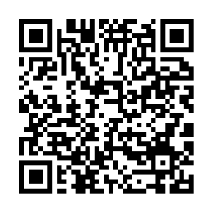 Lien vers votre campagne QRCode - Collecte de fonds