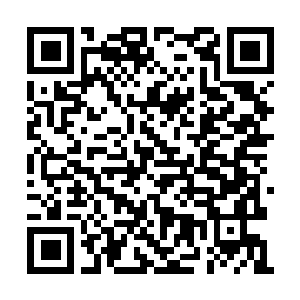 Lien vers votre campagne QRCode - Collecte de fonds