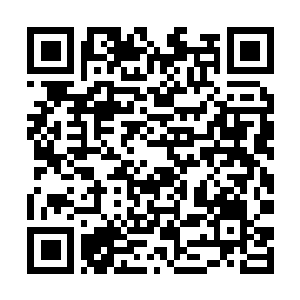 Lien vers votre campagne QRCode - Collecte de fonds