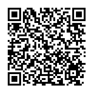 Lien vers votre campagne QRCode - Collecte de fonds