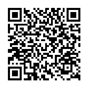 Lien vers votre campagne QRCode - Collecte de fonds