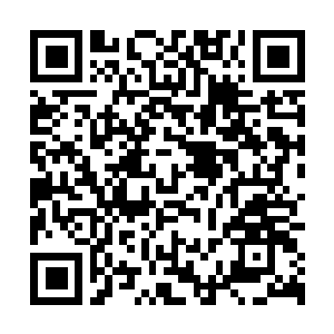 Lien vers votre campagne QRCode - Collecte de fonds