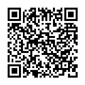 Lien vers votre campagne QRCode - Collecte de fonds