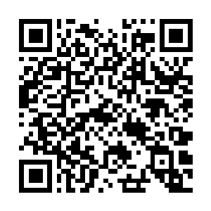 Lien vers votre campagne QRCode - Collecte de fonds