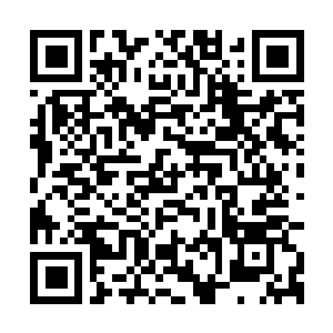 Lien vers votre campagne QRCode - Collecte de fonds