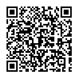 Lien vers votre campagne QRCode - Collecte de fonds