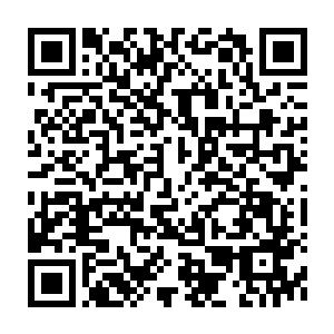 Lien vers votre campagne QRCode - Collecte de fonds