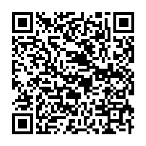 Lien vers votre campagne QRCode - Collecte de fonds