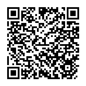 Lien vers votre campagne QRCode - Collecte de fonds