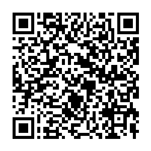Lien vers votre campagne QRCode - Collecte de fonds