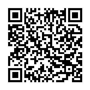 Lien vers votre campagne QRCode - Collecte de fonds