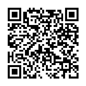 Lien vers votre campagne QRCode - Collecte de fonds