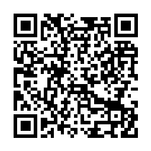 Lien vers votre campagne QRCode - Collecte de fonds