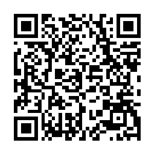 Lien vers votre campagne QRCode - Collecte de fonds